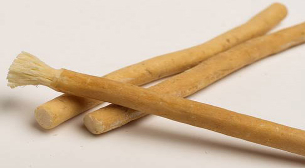 Miswak more better or toothbrush? experts reveal