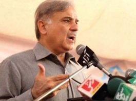 PM Shehbaz forms National Economic Council to tackle economic challenges