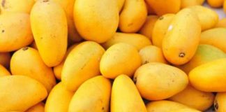 Pakistani mangoes sell for $120 in Dubai after import: CG