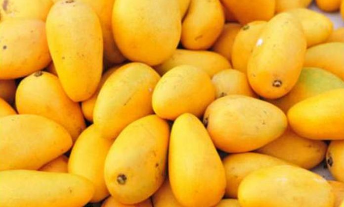 Pakistani mangoes sell for $120 in Dubai after import: CG