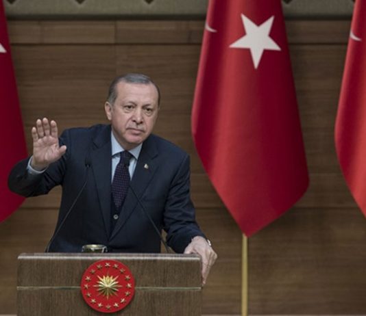 Erdogan says no one has the power to remove Gazans from their homeland