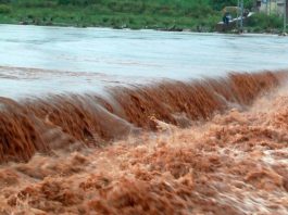 Eight dies as rains hit different parts of the country