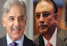 President Zardari, PM Shehbaz reaffirm Pakistan’s support for Kashmiris on Black Day