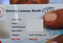 apply online for driving licence