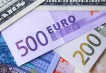 Euro to PKR exchange rate today – Feb 24, 2025