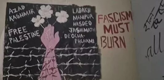 'Azad Kashmir', 'Free Palestine' graffiti at Indian university