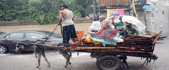 سیالکوٹ،گدھا گاڑی والا موسلا دھار بارش کے دوران اپنے خاندان کو محفوظ مقام کی جانب لے جارہا ہے