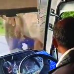 Elephant _ bus