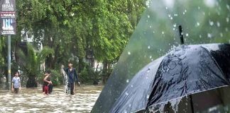 Accidents during stormy rains in Punjab