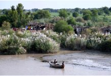 لاڑکانہ: خیر پور روڈ کے قریب دریائے سندھ کے دائیں کنارے پر ماہی گیر کشتی پر سوار ہورہے ہیں