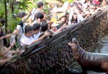 excitement of Thailand's zoo