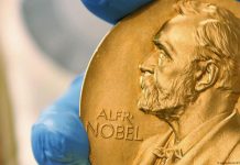 Nobel Prize in Medicine 2024