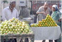 حیدرآباد: گھر کی کفالت کے لیے پھل فروش گاہک کے انتظار میں بیٹھے ہیں