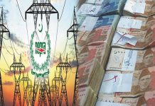 Power companies lost 661 billion to national exchequer