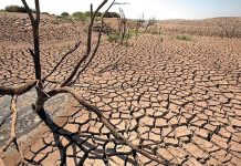 insufficient rains in Pakistan