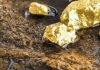 Gold deposits worth billions of rupees