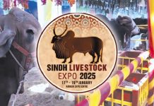 3-day livestock exhibition in Karachi