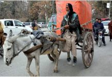 کوئٹہ ،گدھا گاڑی والا بزرگ بھاری سامان لاد کر لے جارہاہے جو کسی بھی حادثے کاباعث بن سکتاہے