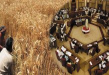 Bill to impose tax on agricultural income also approved