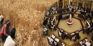 Bill to impose tax on agricultural income also approved