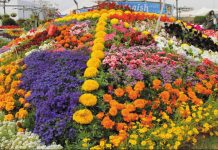 Grand opening of three-day flower exhibition