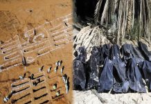 migrants were found in 2 mass graves in Libya